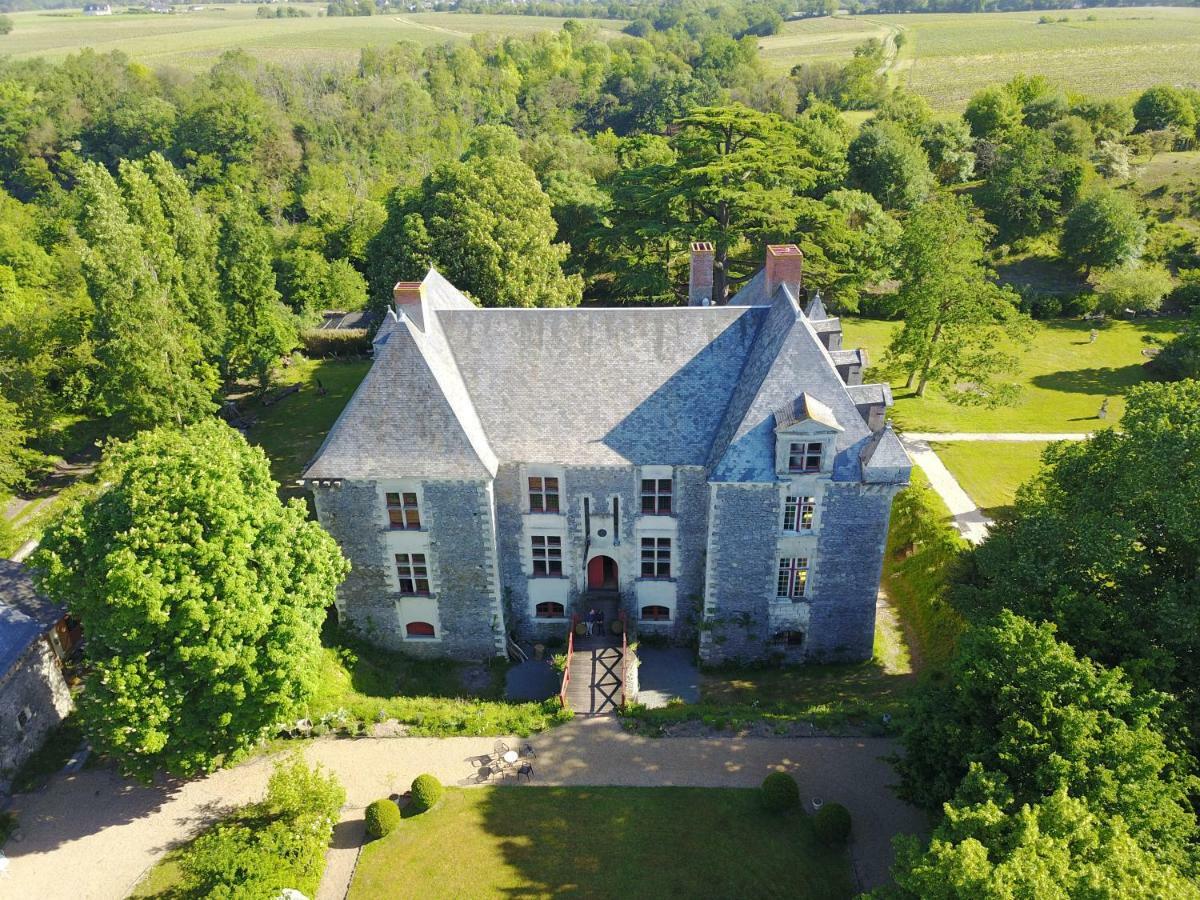 Chateau De La Fresnaye Bed and Breakfast Saint-Aubin-de-Luigné Esterno foto