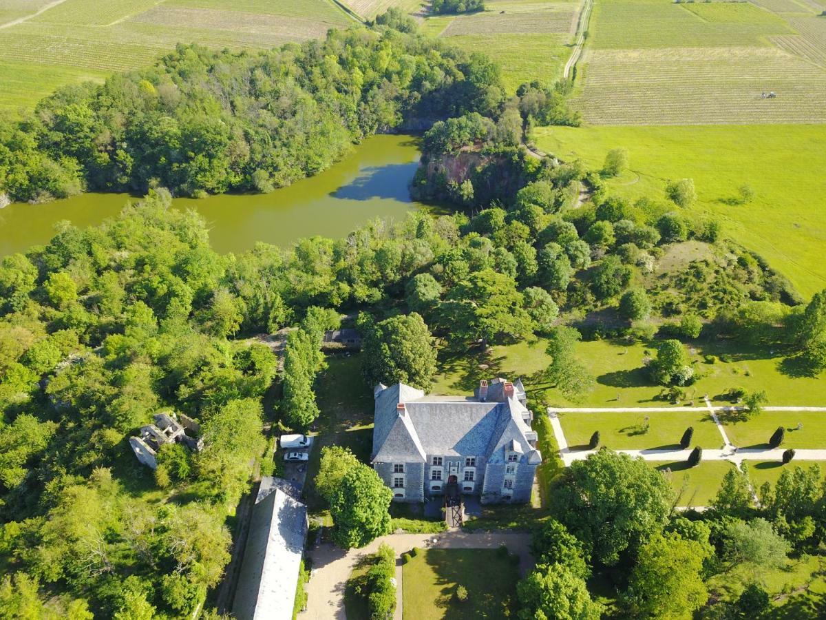 Chateau De La Fresnaye Bed and Breakfast Saint-Aubin-de-Luigné Esterno foto