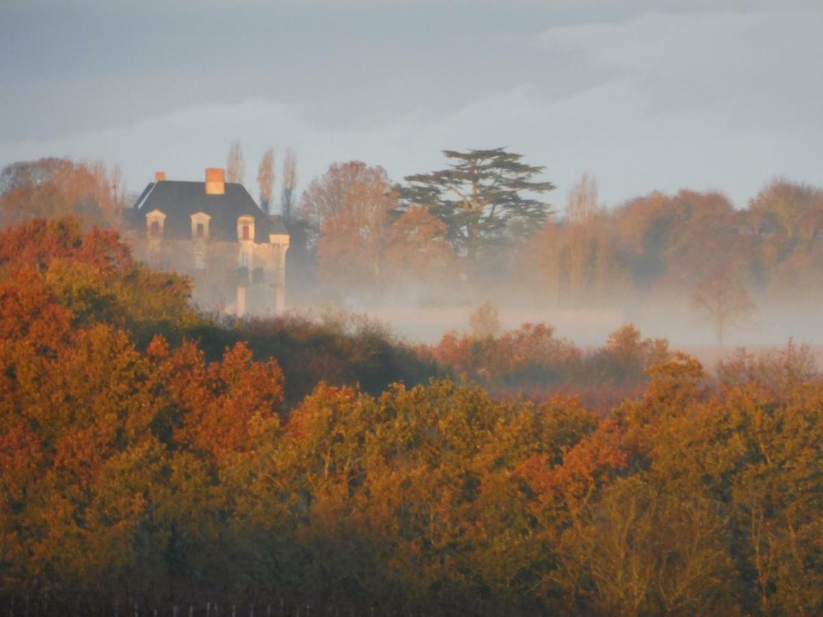 Chateau De La Fresnaye Bed and Breakfast Saint-Aubin-de-Luigné Esterno foto